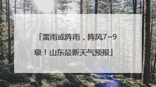 雷雨或阵雨，阵风7~9级！山东最新天气预报