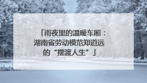 雨夜里的温暖车厢：湖南省劳动模范郑道远的“摆渡人生”