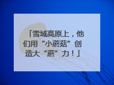 雪域高原上，他们用“小蘑菇”创造大“蘑”力！