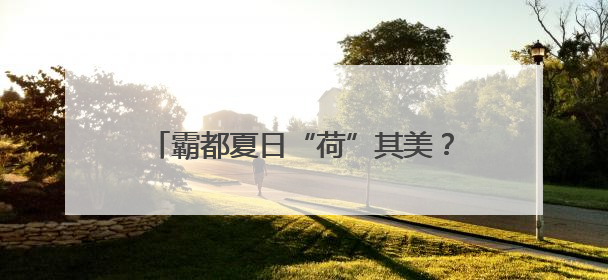霸都夏日“荷”其美？解锁合肥五大绝美荷塘