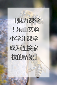 魅力课堂！乐山实验小学让课堂成为连接家校的桥梁