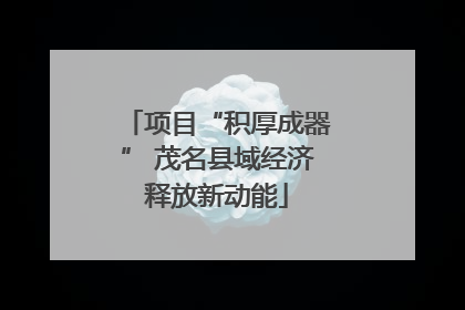 项目“积厚成器” 茂名县域经济释放新动能