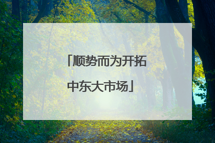 顺势而为开拓中东大市场