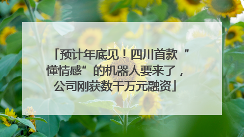 预计年底见！四川首款“懂情感”的机器人要来了，公司刚获数千万元融资