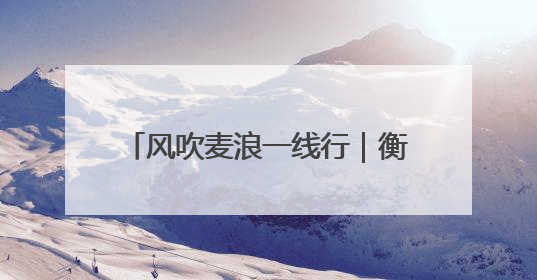 风吹麦浪一线行｜衡水冀州：开镰！科学种植 奏响丰收序曲