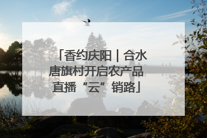 香约庆阳｜合水唐旗村开启农产品直播“云”销路