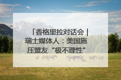香格里拉对话会｜瑞士媒体人：美国施压盟友“极不理性” 欧洲国家无意与中国“脱钩断链”
