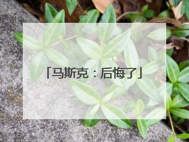 马斯克：后悔了
