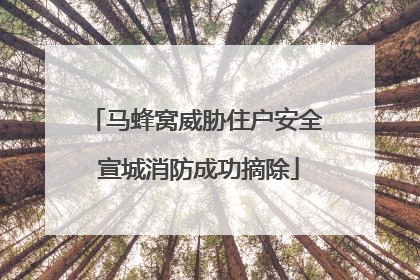 马蜂窝威胁住户安全 宣城消防成功摘除