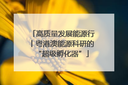 高质量发展能源行丨粤港澳能源科研的“超级孵化器”