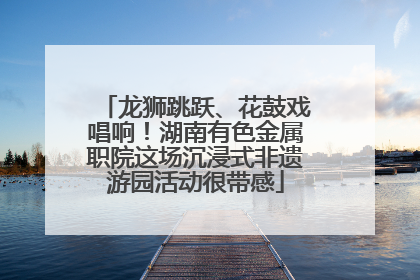 龙狮跳跃、花鼓戏唱响！湖南有色金属职院这场沉浸式非遗游园活动很带感