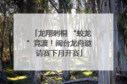 龙翔刺桐 “蛟龙”竞渡！闽台龙舟邀请赛下月开赛