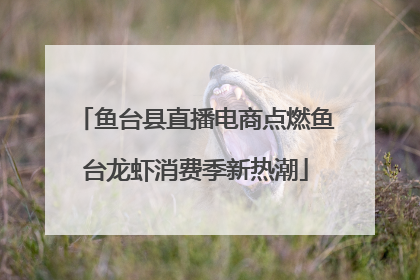 鱼台县直播电商点燃鱼台龙虾消费季新热潮