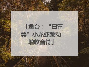 鱼台：“白富美”小龙虾跳动增收音符