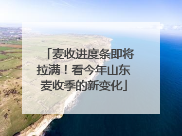 麦收进度条即将拉满！看今年山东麦收季的新变化