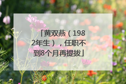 黄双燕（1982年生），任职不到8个月再提拔