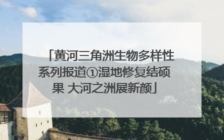 黄河三角洲生物多样性系列报道①湿地修复结硕果 大河之洲展新颜
