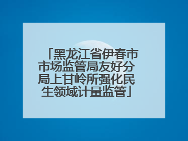 黑龙江省伊春市市场监管局友好分局上甘岭所强化民生领域计量监管