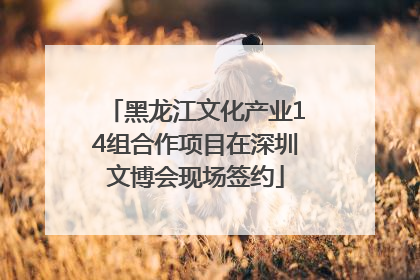 黑龙江文化产业14组合作项目在深圳文博会现场签约