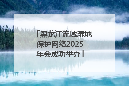 黑龙江流域湿地保护网络2025年会成功举办