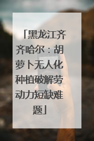 黑龙江齐齐哈尔：胡萝卜无人化种植破解劳动力短缺难题