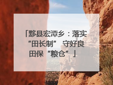 黟县宏潭乡：落实“田长制” 守好良田保“粮仓”