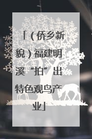 （侨乡新貌）福建明溪“拍”出特色观鸟产业
