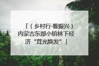 （乡村行·看振兴）内蒙古东部小镇林下经济“茸光焕发”