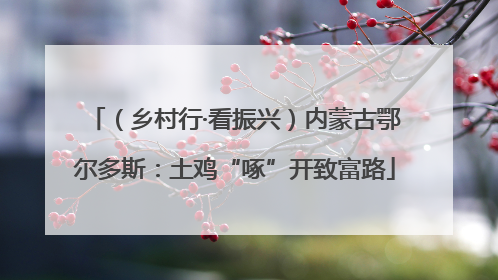 （乡村行·看振兴）内蒙古鄂尔多斯：土鸡“啄”开致富路