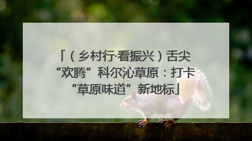 （乡村行·看振兴）舌尖“欢腾”科尔沁草原：打卡“草原味道”新地标