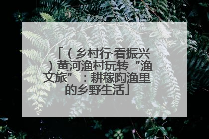 （乡村行·看振兴）黄河渔村玩转“渔文旅”：耕稼陶渔里的乡野生活