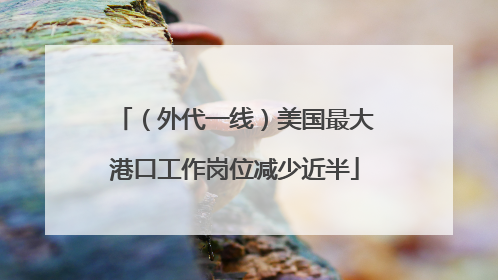 （外代一线）美国最大港口工作岗位减少近半