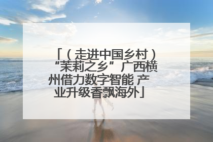 （走进中国乡村）“茉莉之乡”广西横州借力数字智能 产业升级香飘海外