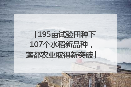 195亩试验田种下107个水稻新品种，莲都农业取得新突破