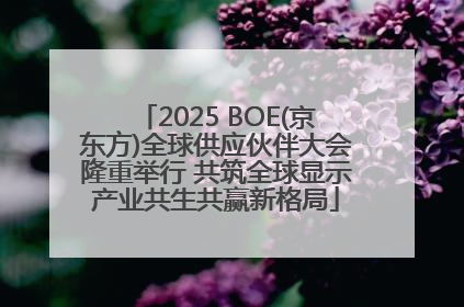 2025 BOE(京东方)全球供应伙伴大会隆重举行 共筑全球显示产业共生共赢新格局