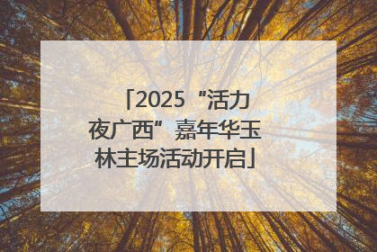 2025“活力夜广西”嘉年华玉林主场活动开启