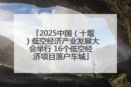 2025中国（十堰）低空经济产业发展大会举行 16个低空经济项目落户车城