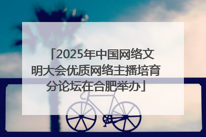 2025年中国网络文明大会优质网络主播培育分论坛在合肥举办
