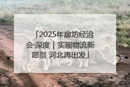 2025年廊坊经洽会·深度｜实现物流新愿景 河北再出发