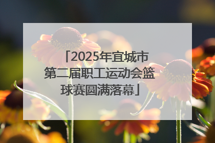 2025年宜城市第二届职工运动会篮球赛圆满落幕