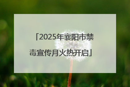 2025年襄阳市禁毒宣传月火热开启