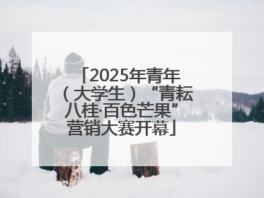 2025年青年（大学生）“青耘八桂·百色芒果”营销大赛开幕
