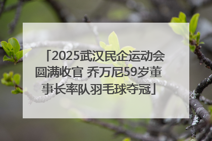 2025武汉民企运动会圆满收官 乔万尼59岁董事长率队羽毛球夺冠