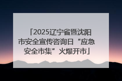 2025辽宁省暨沈阳市安全宣传咨询日“应急安全市集”火爆开市