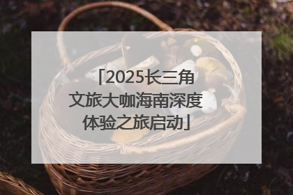 2025长三角文旅大咖海南深度体验之旅启动