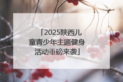2025陕西儿童青少年主题健身活动重磅来袭