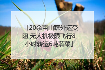20余亩山蔬外运受阻 无人机极限飞行8小时转运6吨蔬菜