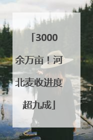 3000余万亩！河北麦收进度超九成