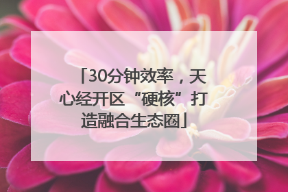 30分钟效率，天心经开区“硬核”打造融合生态圈