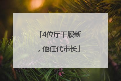 4位厅干履新，他任代市长